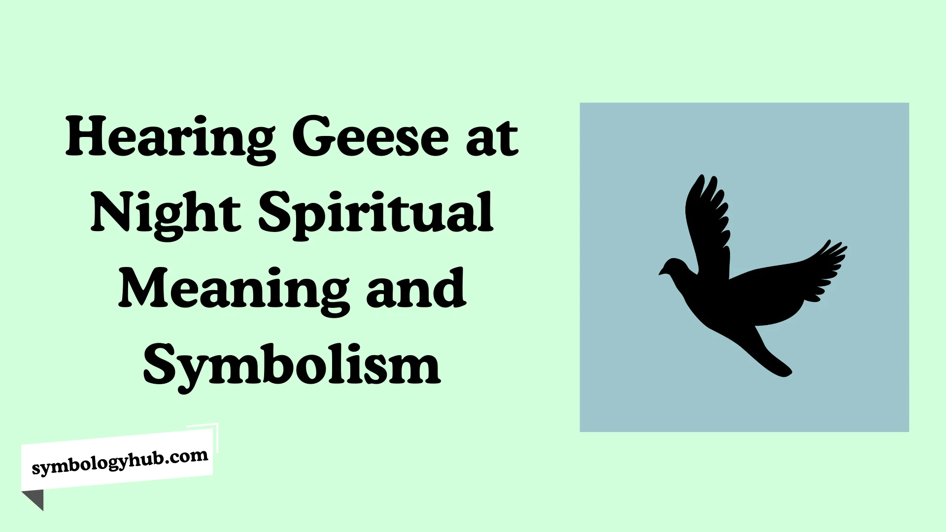 Hearing Geese at Night Spiritual Meaning and Symbolism