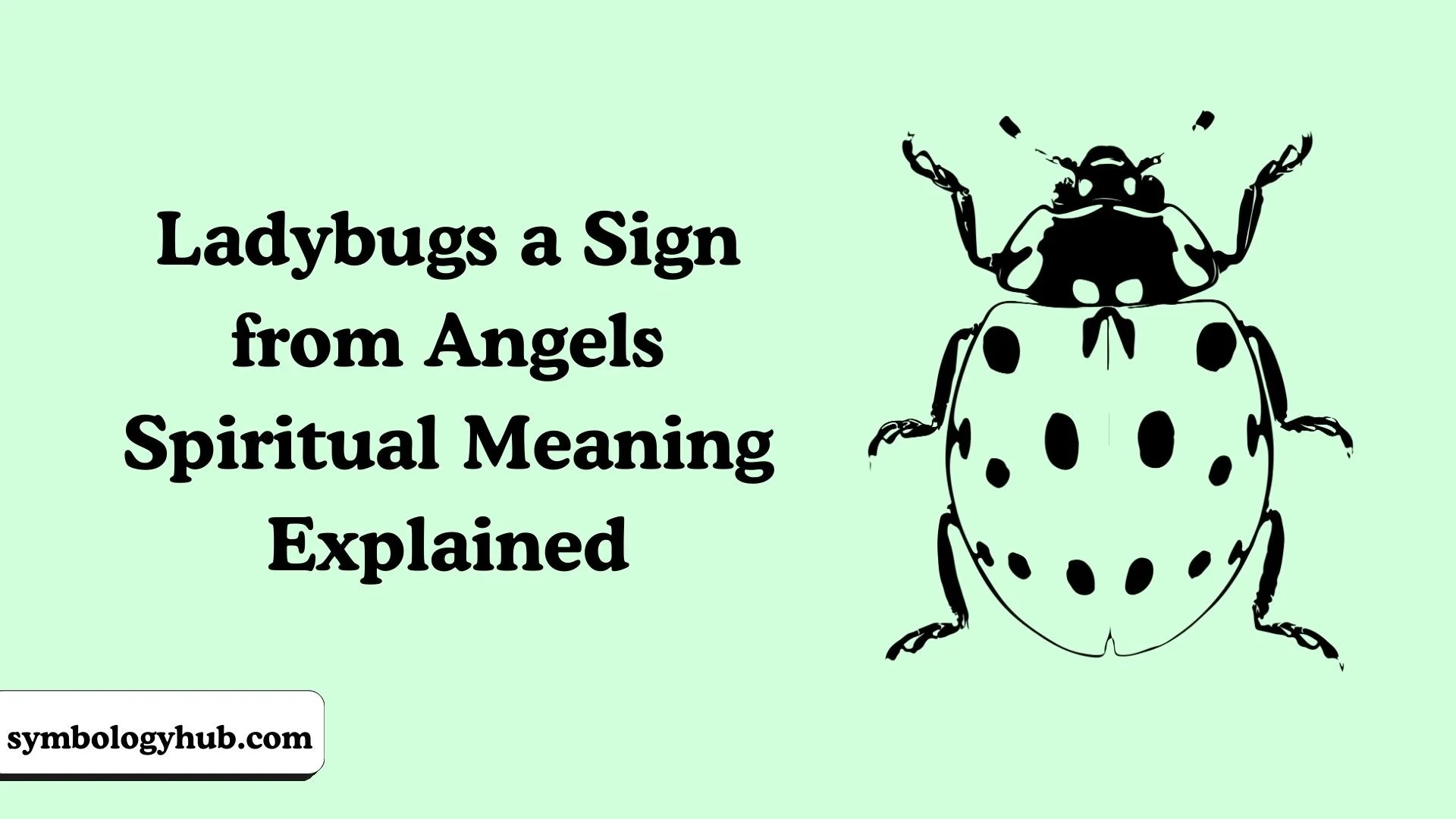 Ladybugs a Sign from Angels Spiritual Meaning Explained