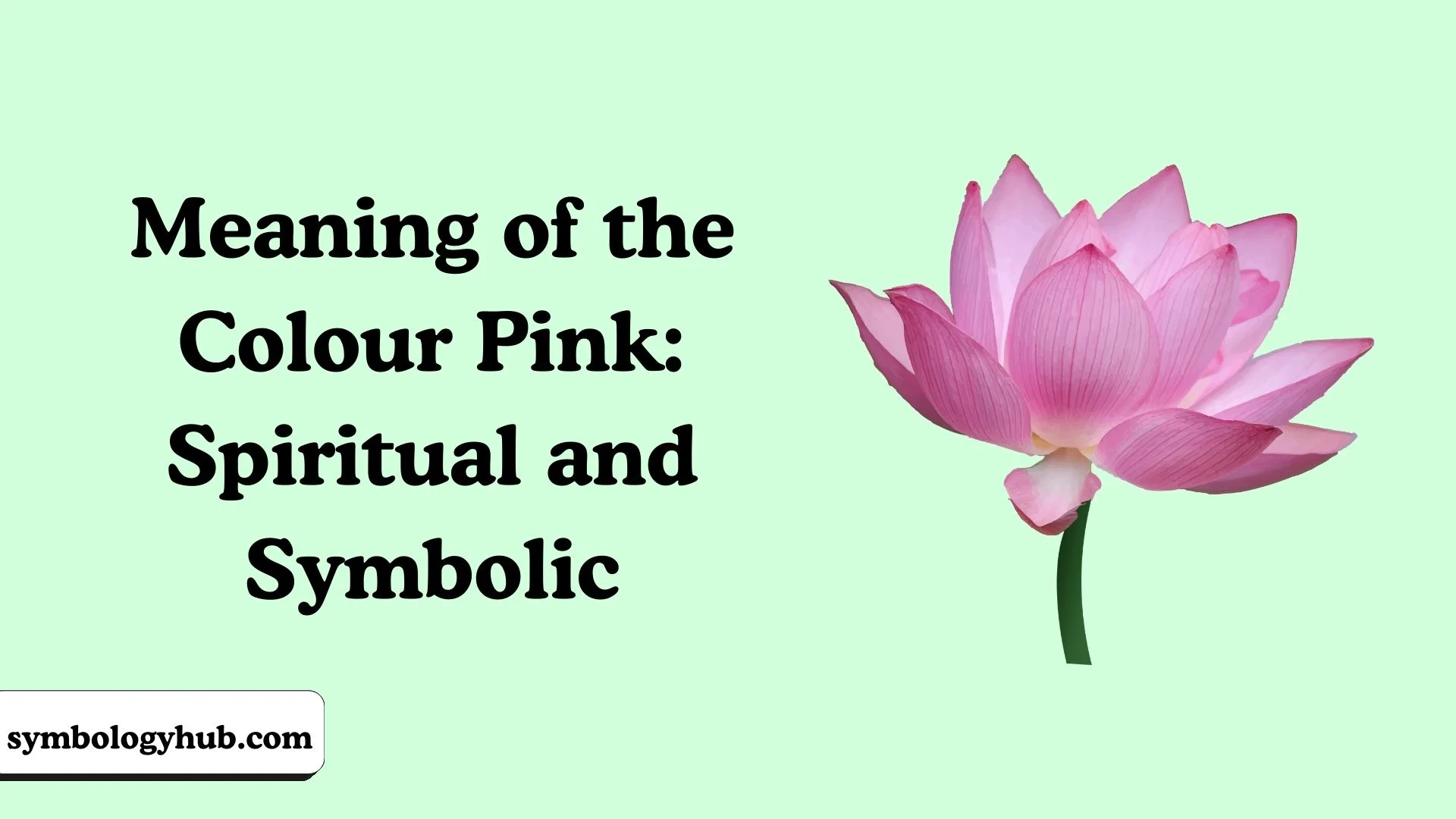 Meaning of the Colour Pink: Spiritual and Symbolic