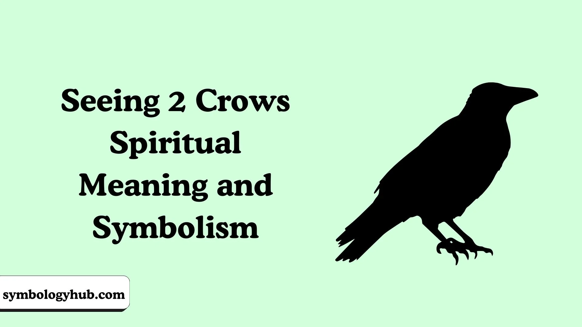 Seeing 2 Crows Spiritual Meaning and Symbolism