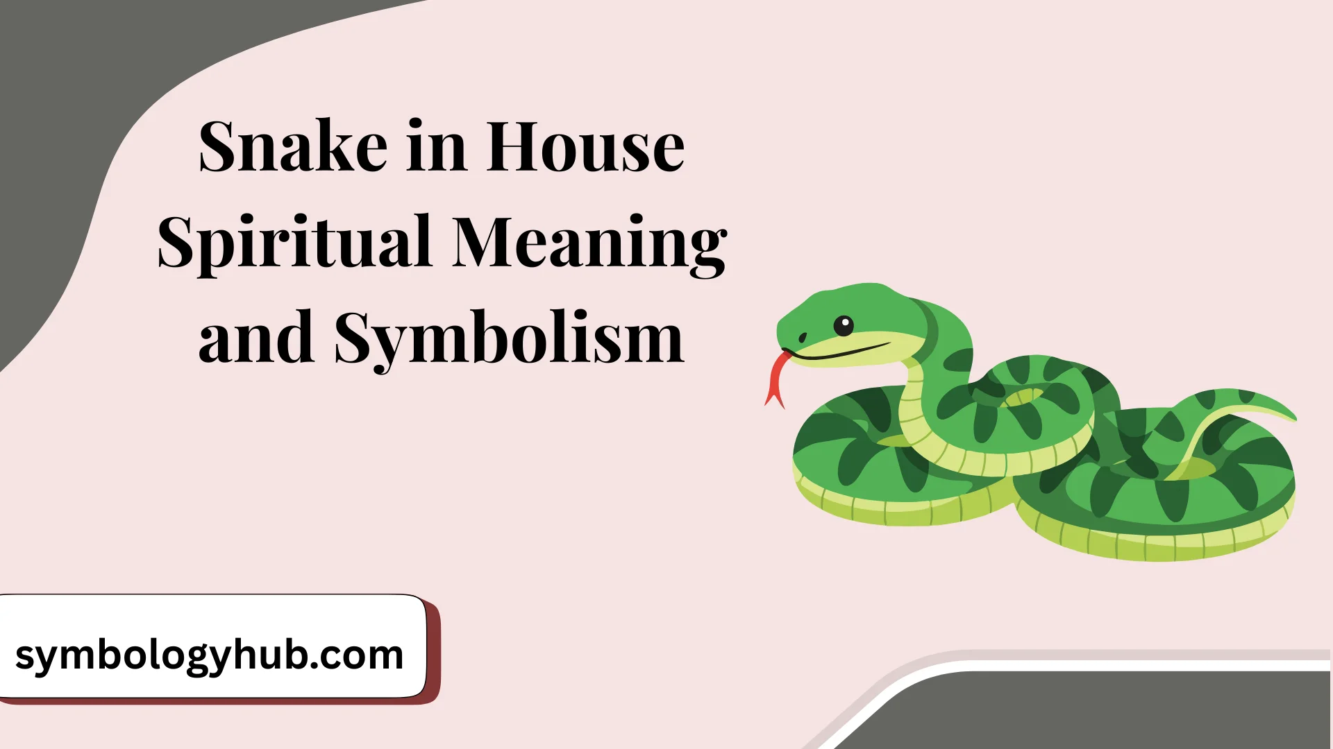 Snake in House Spiritual Meaning and Symbolism