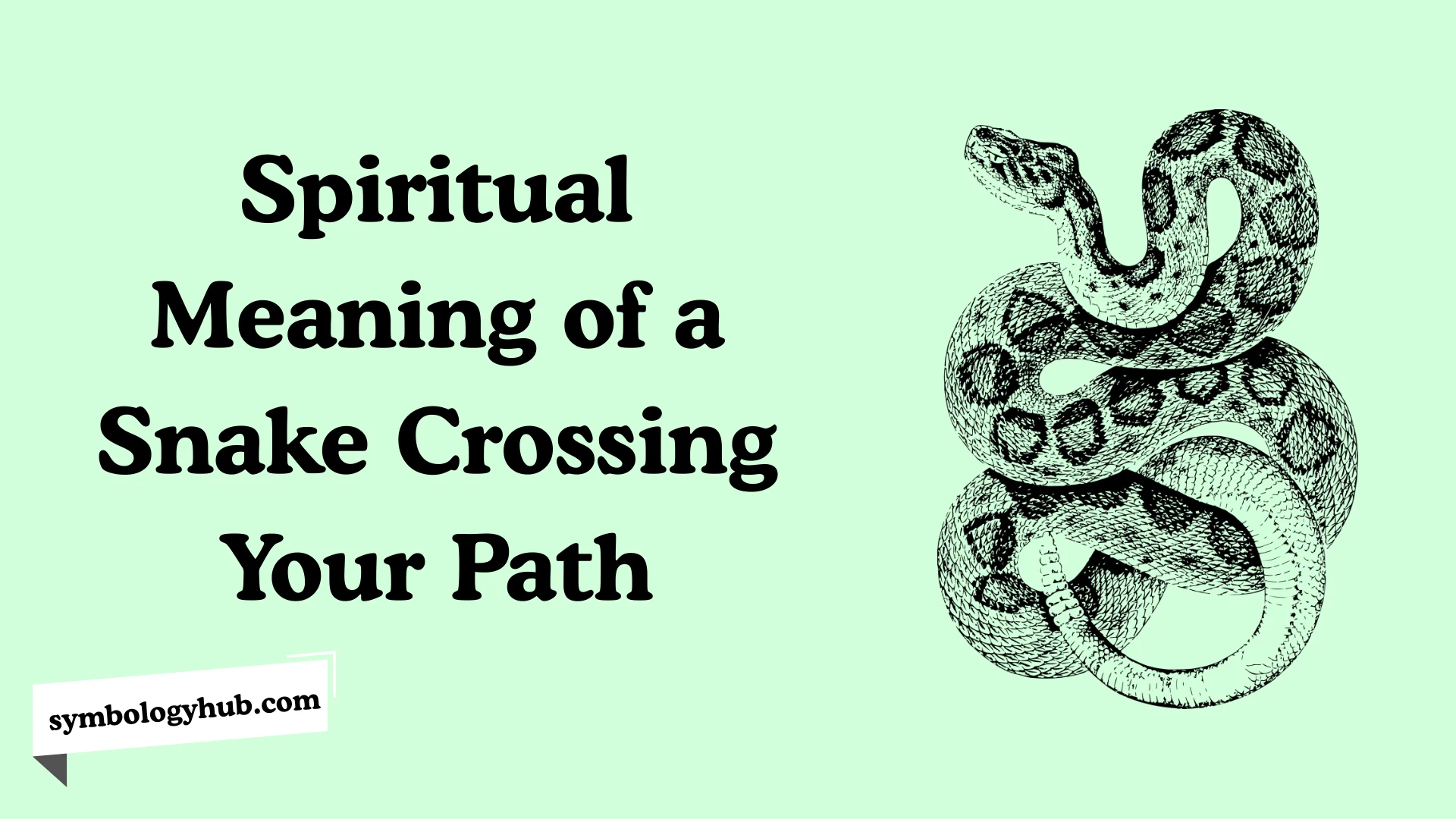 Spiritual Meaning of a Snake Crossing Your Path