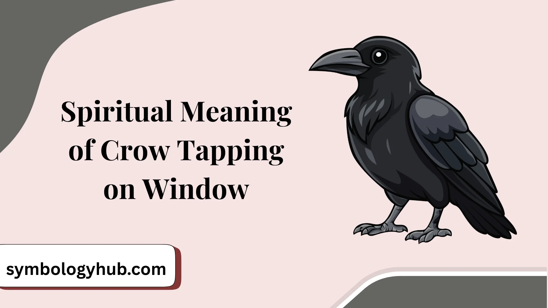 Spiritual Meaning of Crow Tapping on Window