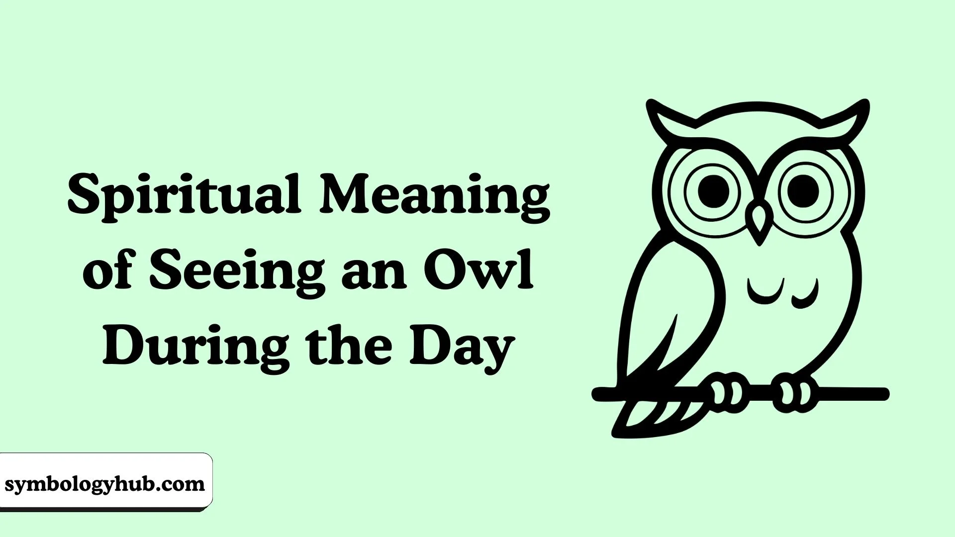 Spiritual Meaning of Seeing an Owl During the Day