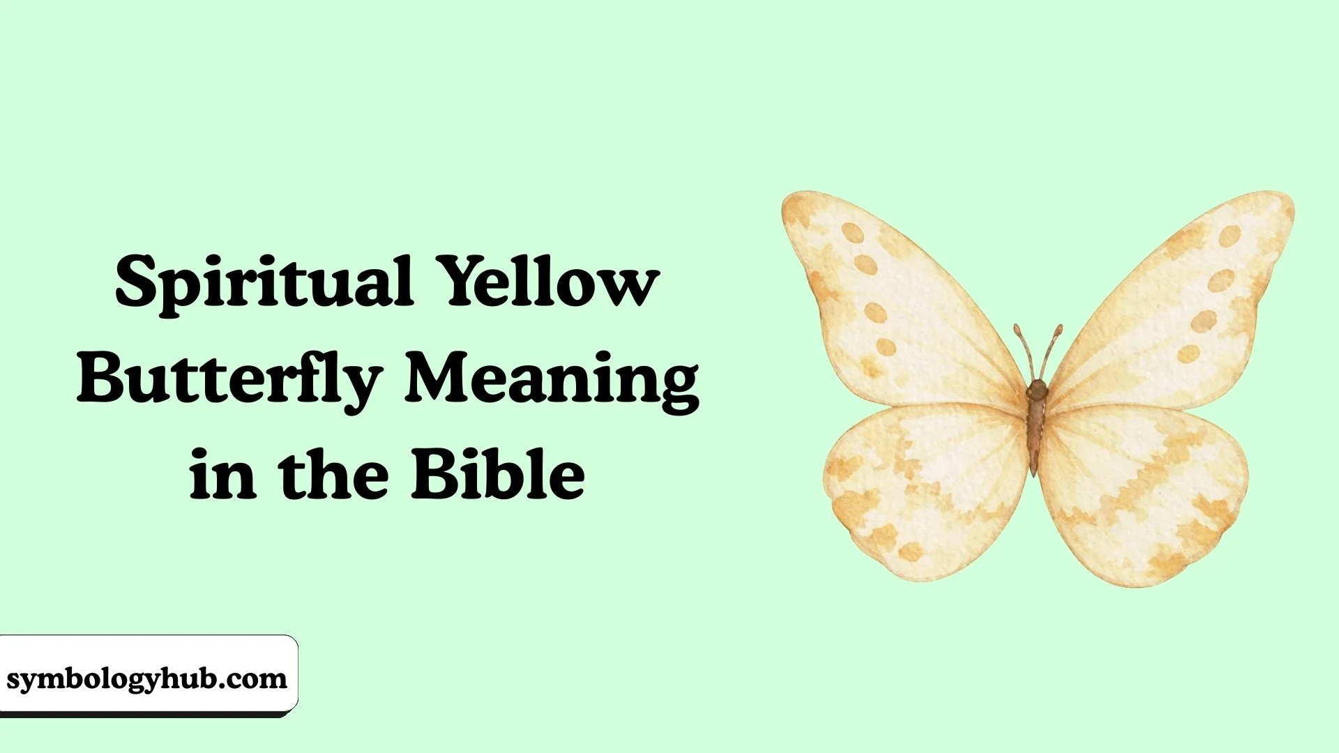 Spiritual Yellow Butterfly Meaning in the Bible