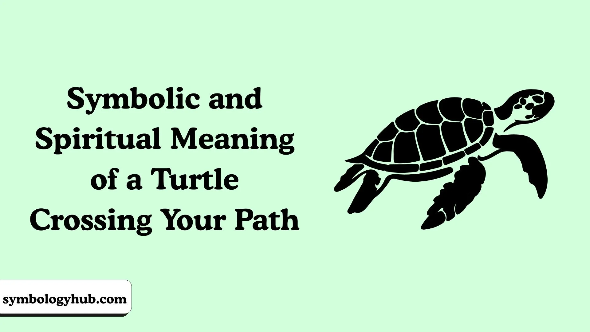 Symbolic and Spiritual Meaning of a Turtle Crossing Your Path