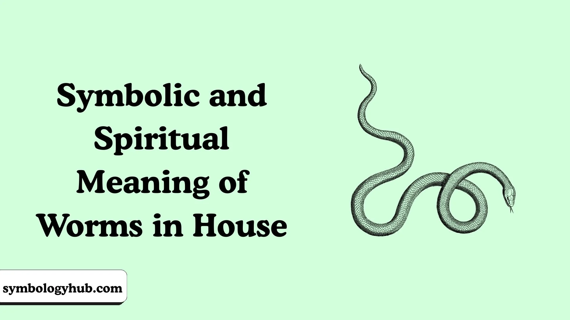 Symbolic and Spiritual Meaning of Worms in House