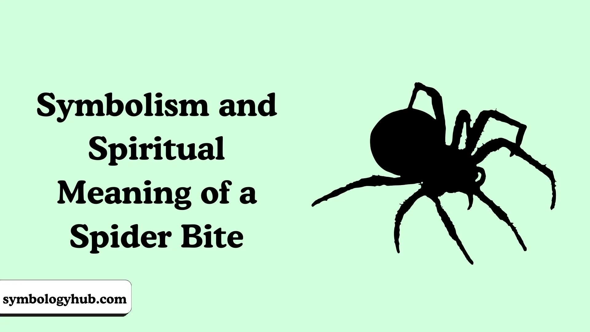 Symbolism and Spiritual Meaning of a Spider Bite