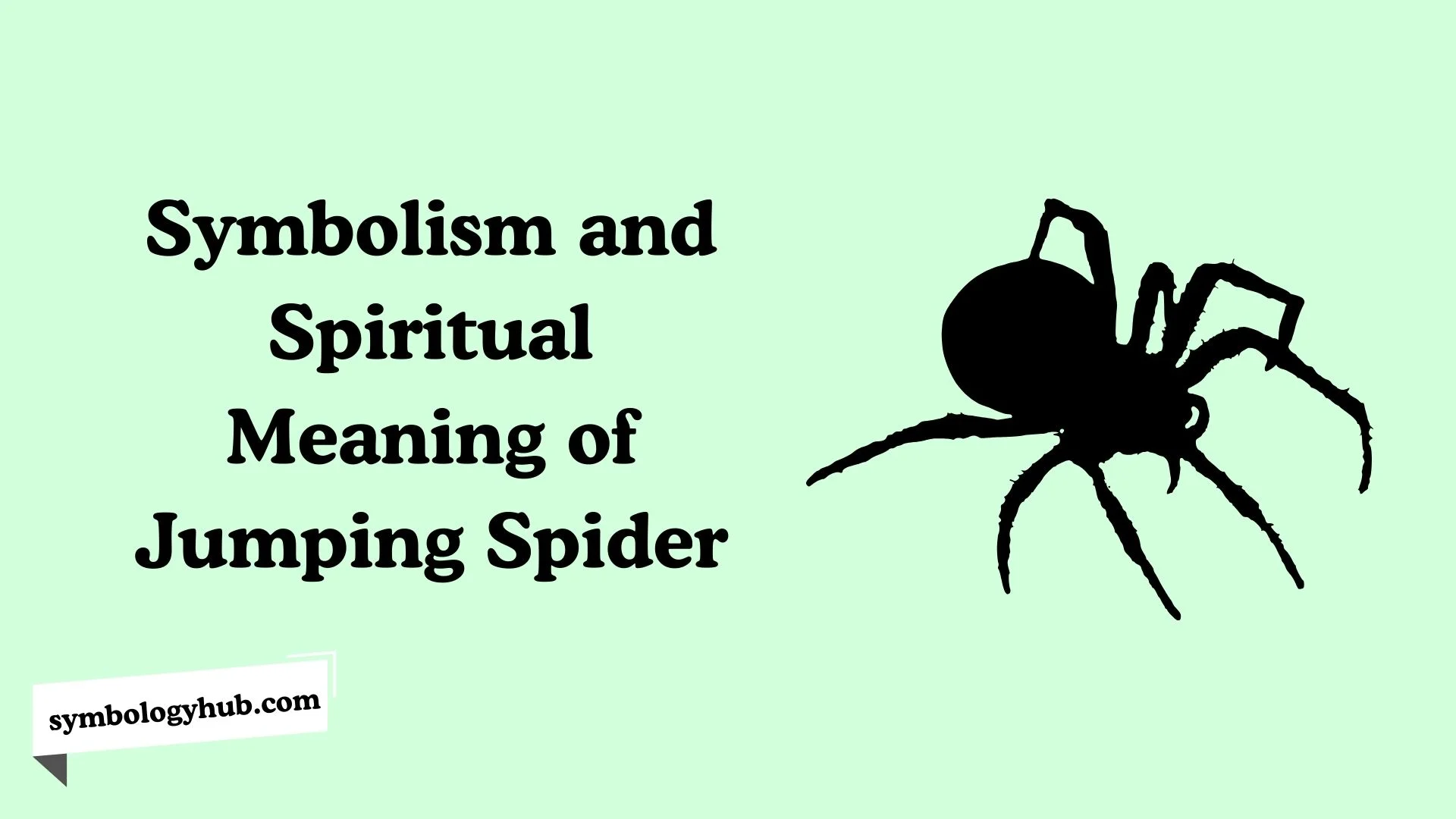 Symbolism and Spiritual Meaning of Jumping Spider