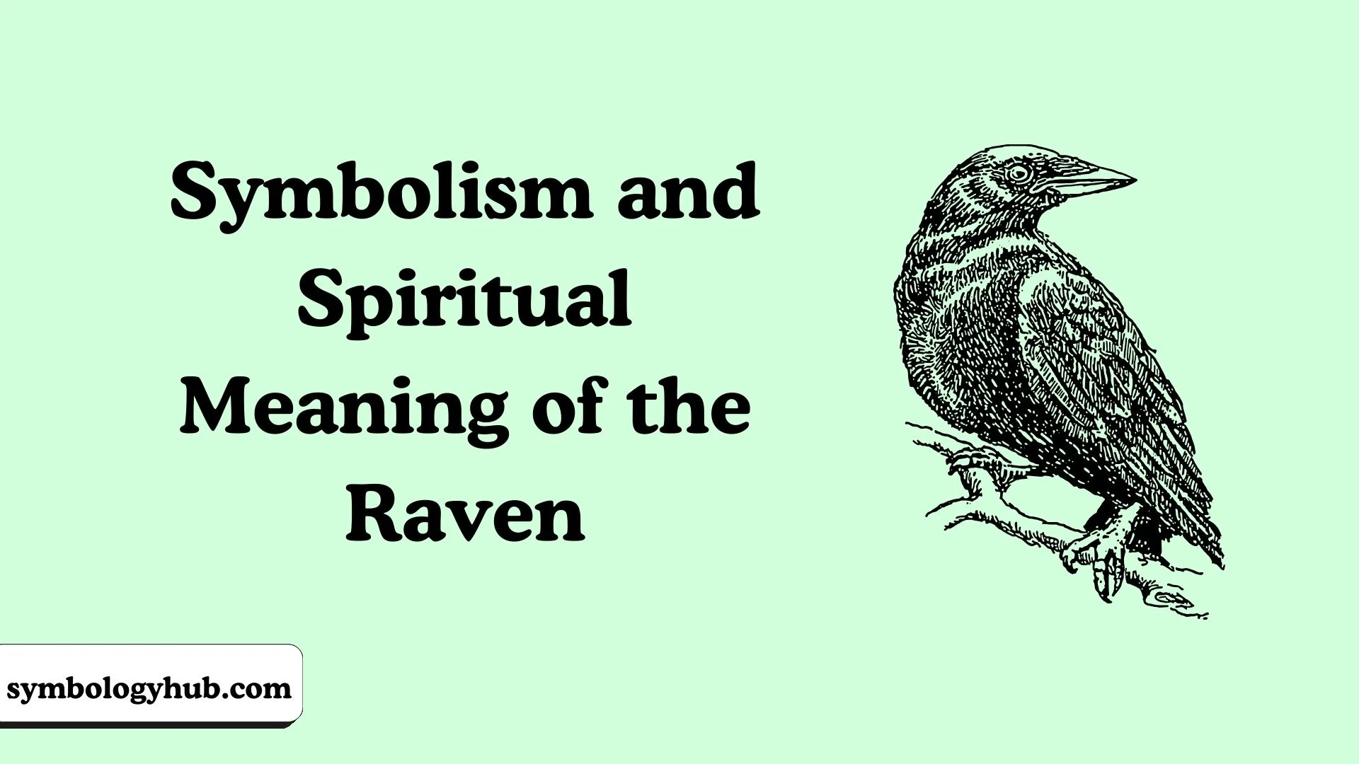 Symbolism and Spiritual Meaning of the Raven