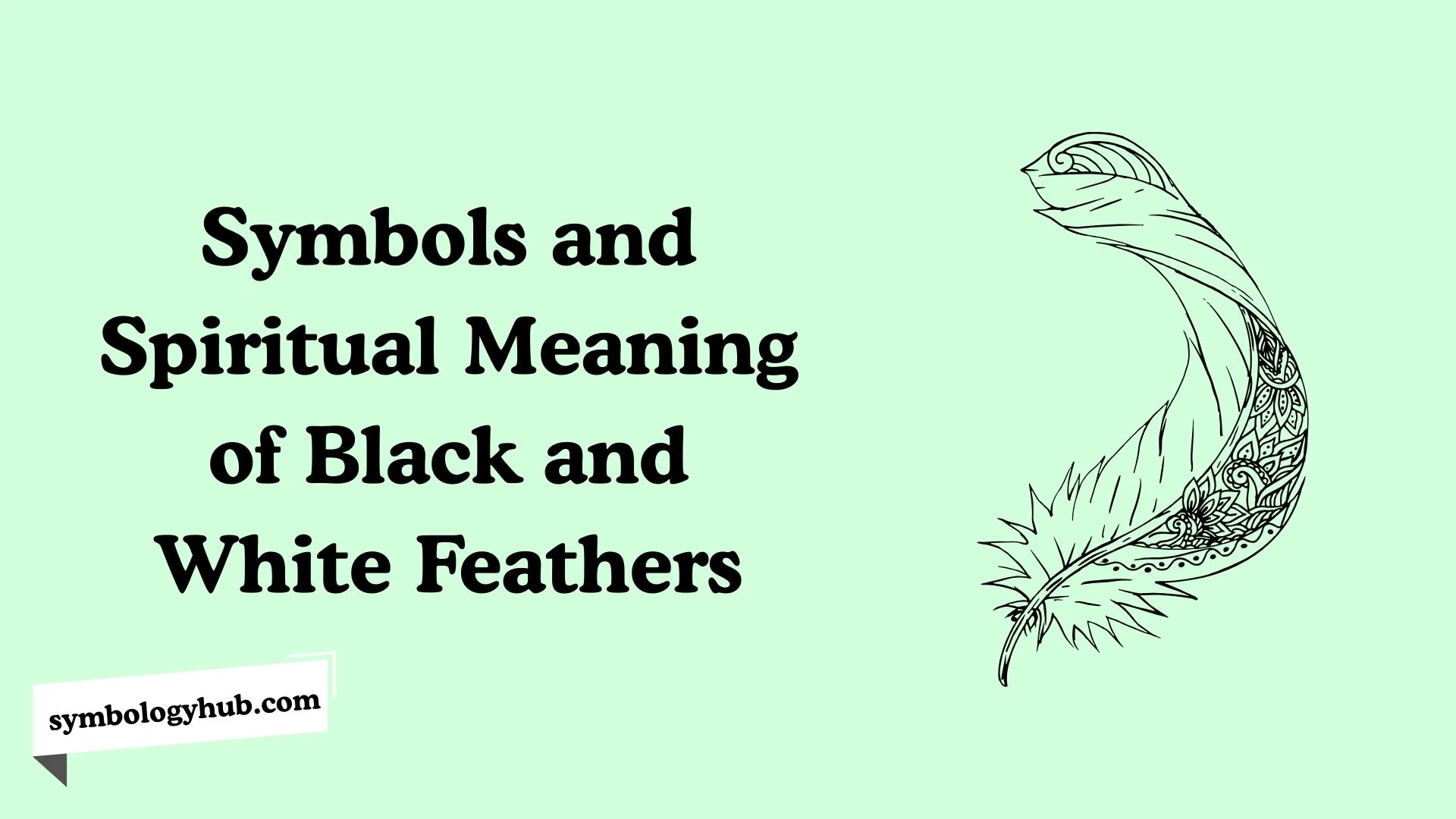 Symbols and Spiritual Meaning of Black and White Feathers