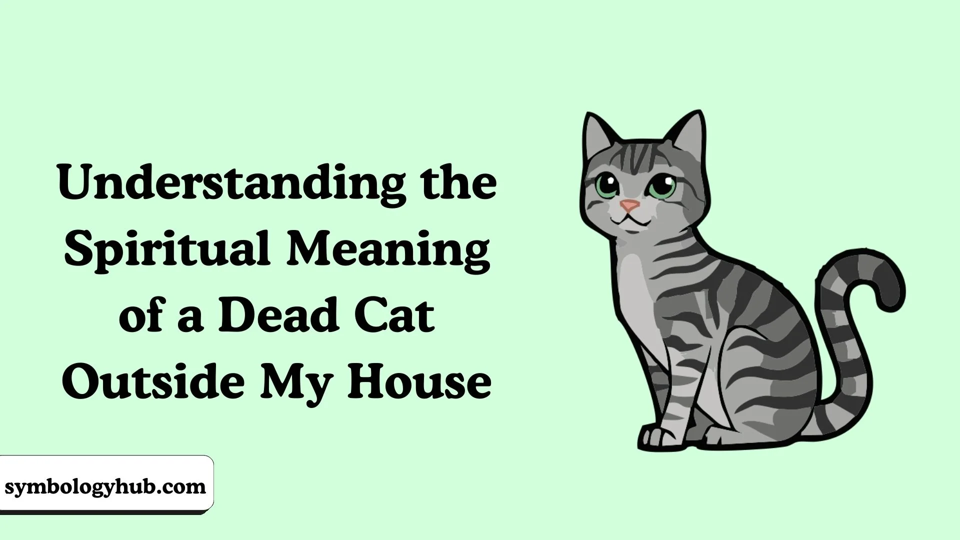 Understanding the Spiritual Meaning of a Dead Cat Outside My House