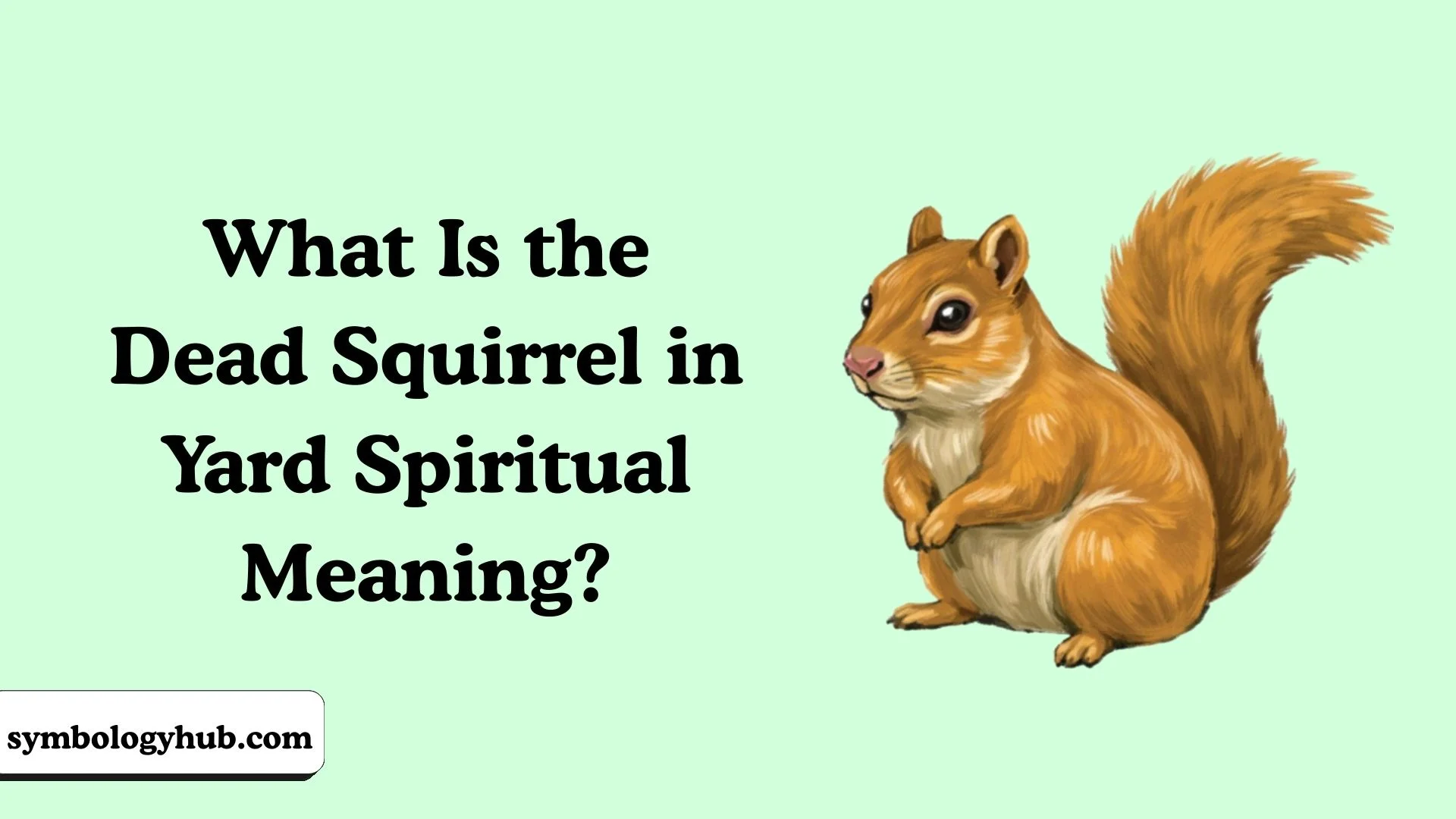 What Is the Dead Squirrel in Yard Spiritual Meaning?