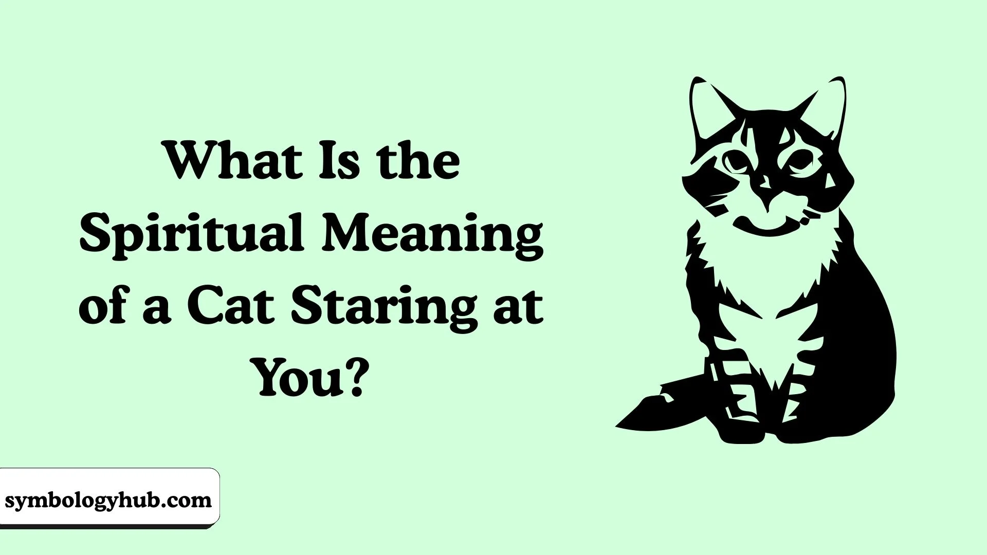 What Is the Spiritual Meaning of a Cat Staring at You?