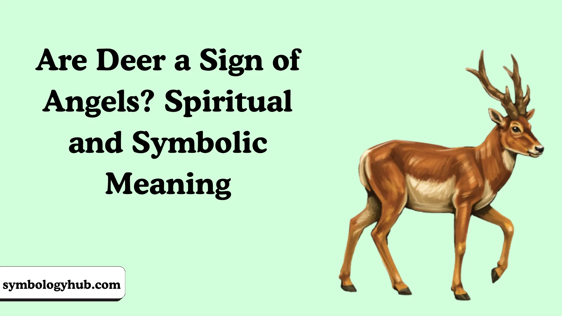 Are Deer a Sign of Angels? Spiritual and Symbolic Meaning