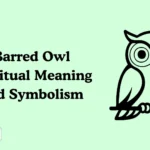 Barred Owl Spiritual Meaning