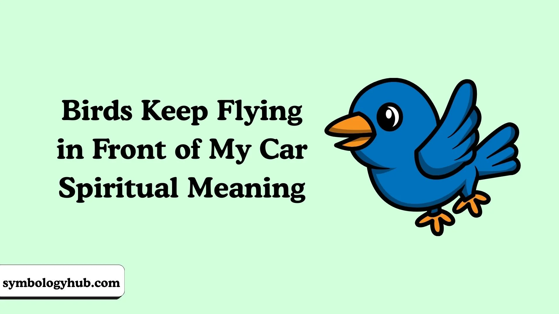 Birds Keep Flying in Front of My Car Spiritual Meaning