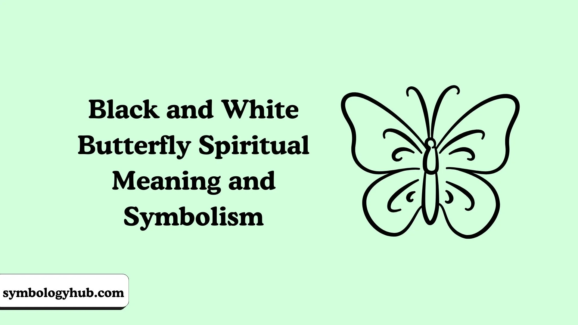 Black and White Butterfly Spiritual Meaning