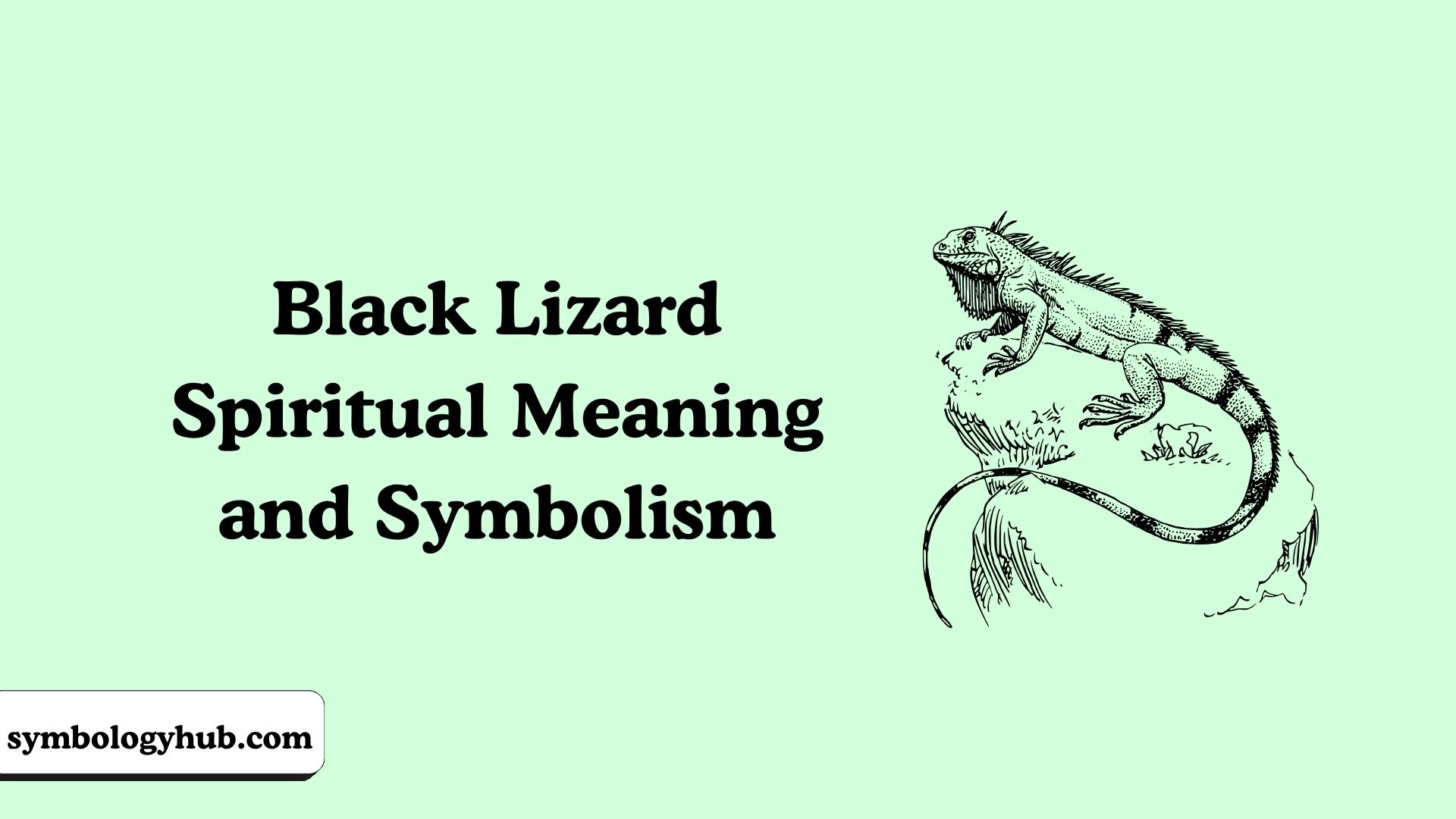 Black Lizard Spiritual Meaning