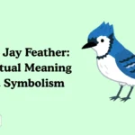 Blue Jay Feather: Spiritual Meaning