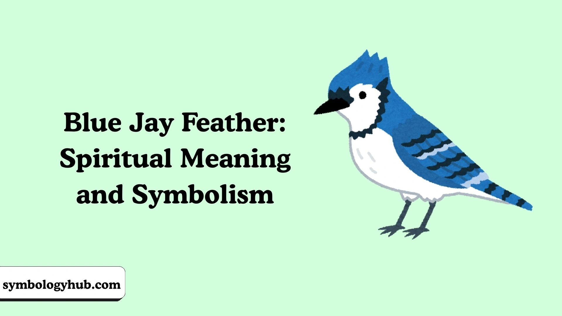 Blue Jay Feather: Spiritual Meaning