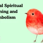 Cardinal Spiritual Meaning and Symbolism