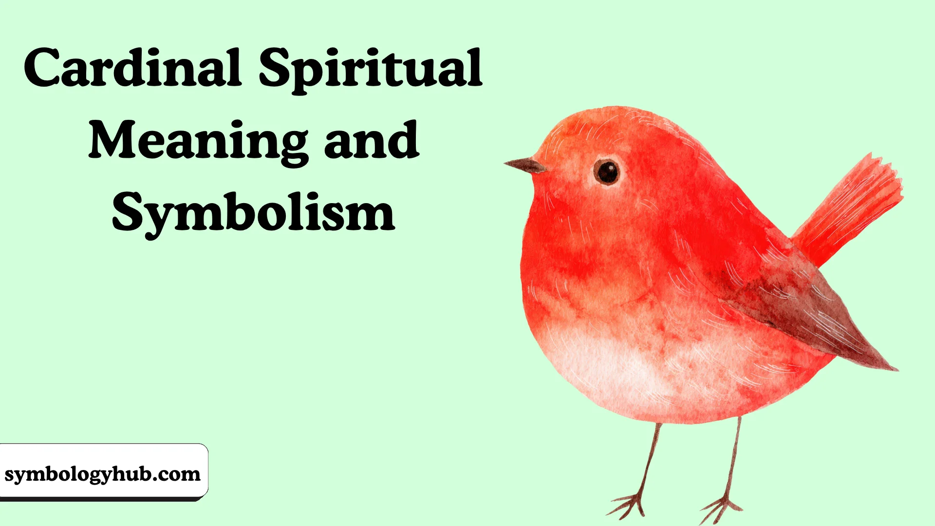 Cardinal Spiritual Meaning and Symbolism