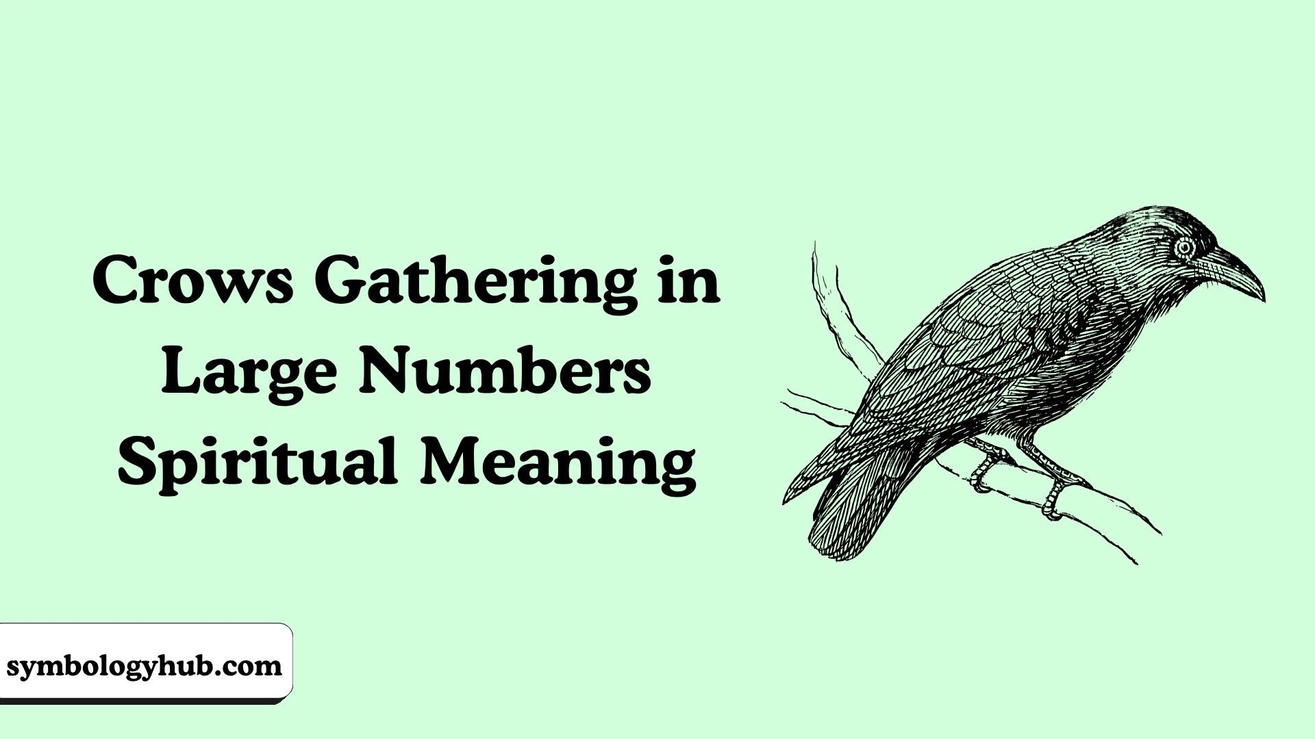 Crows Gathering in Large Numbers Spiritual Meaning