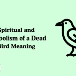 Dead Bird Meaning