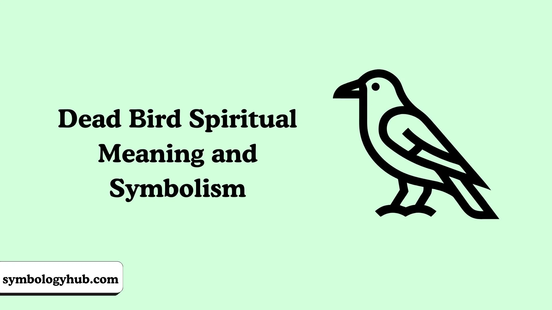 Dead Bird Spiritual Meaning