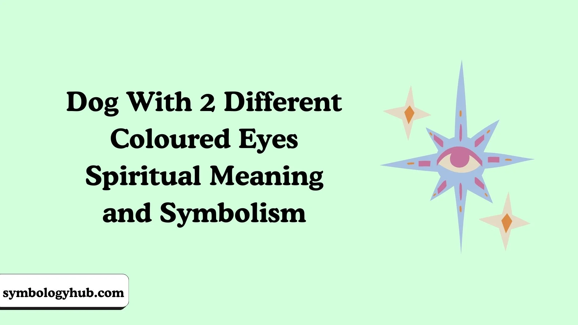 Dog With 2 Different Coloured Eyes Spiritual Meaning and Symbolism