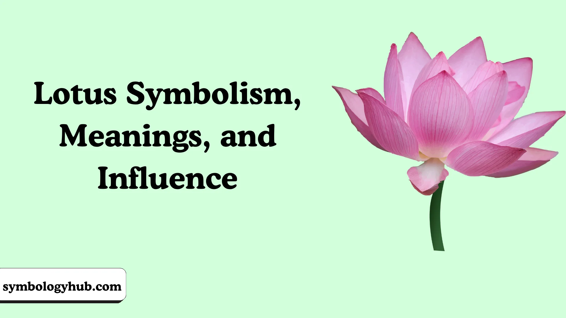 Lotus Symbolism, Meanings, and Influence
