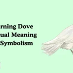 Mourning Dove Spiritual Meaning
