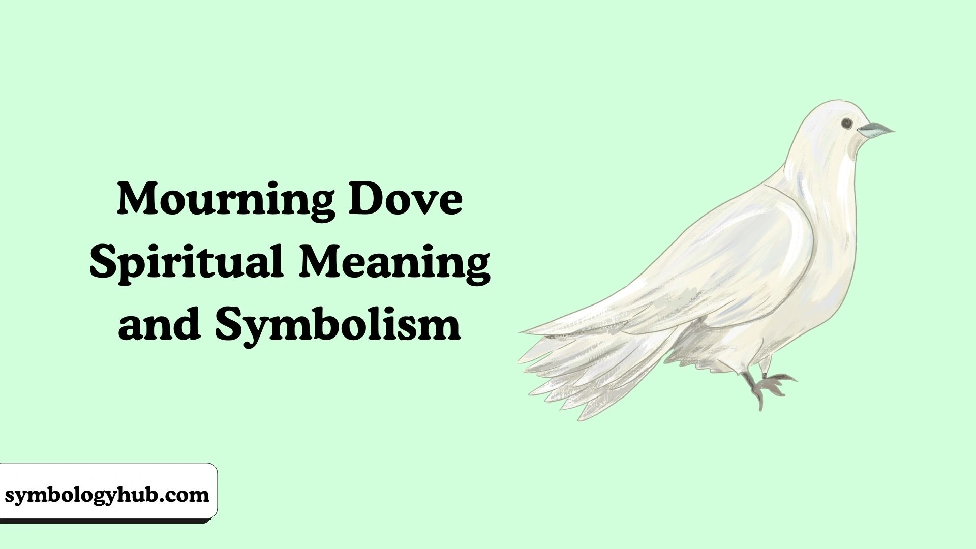 Mourning Dove Spiritual Meaning