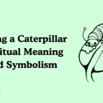 Seeing a Caterpillar Spiritual Meaning and Symbolism
