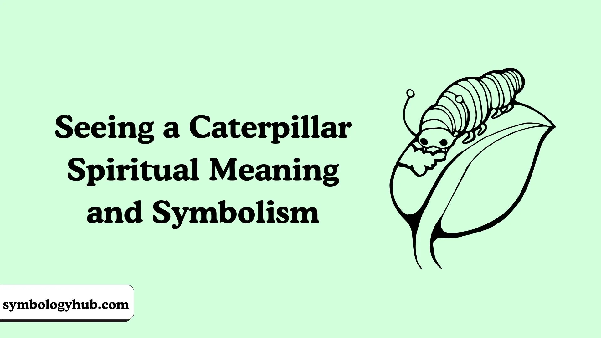 Seeing a Caterpillar Spiritual Meaning and Symbolism