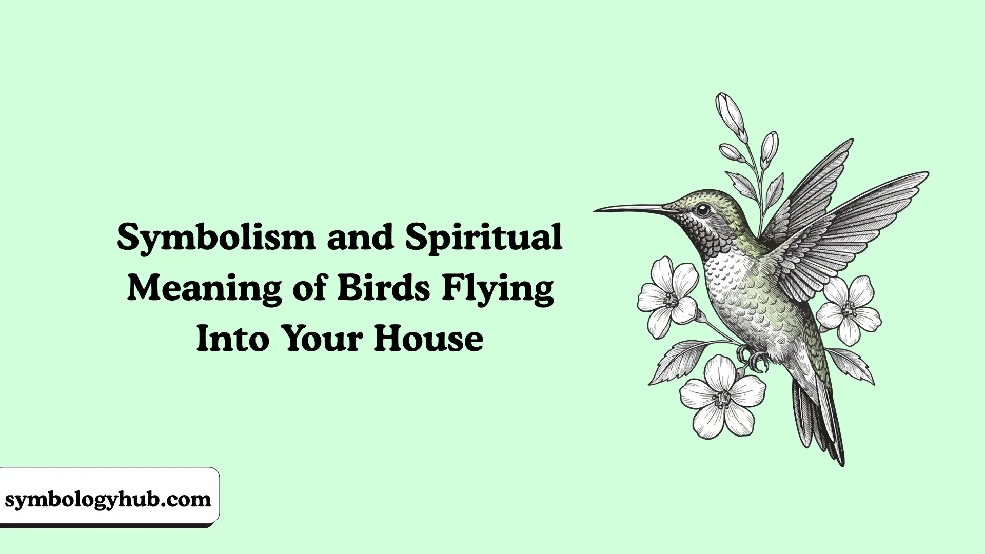 Spiritual Meaning of Birds Flying Into Your House