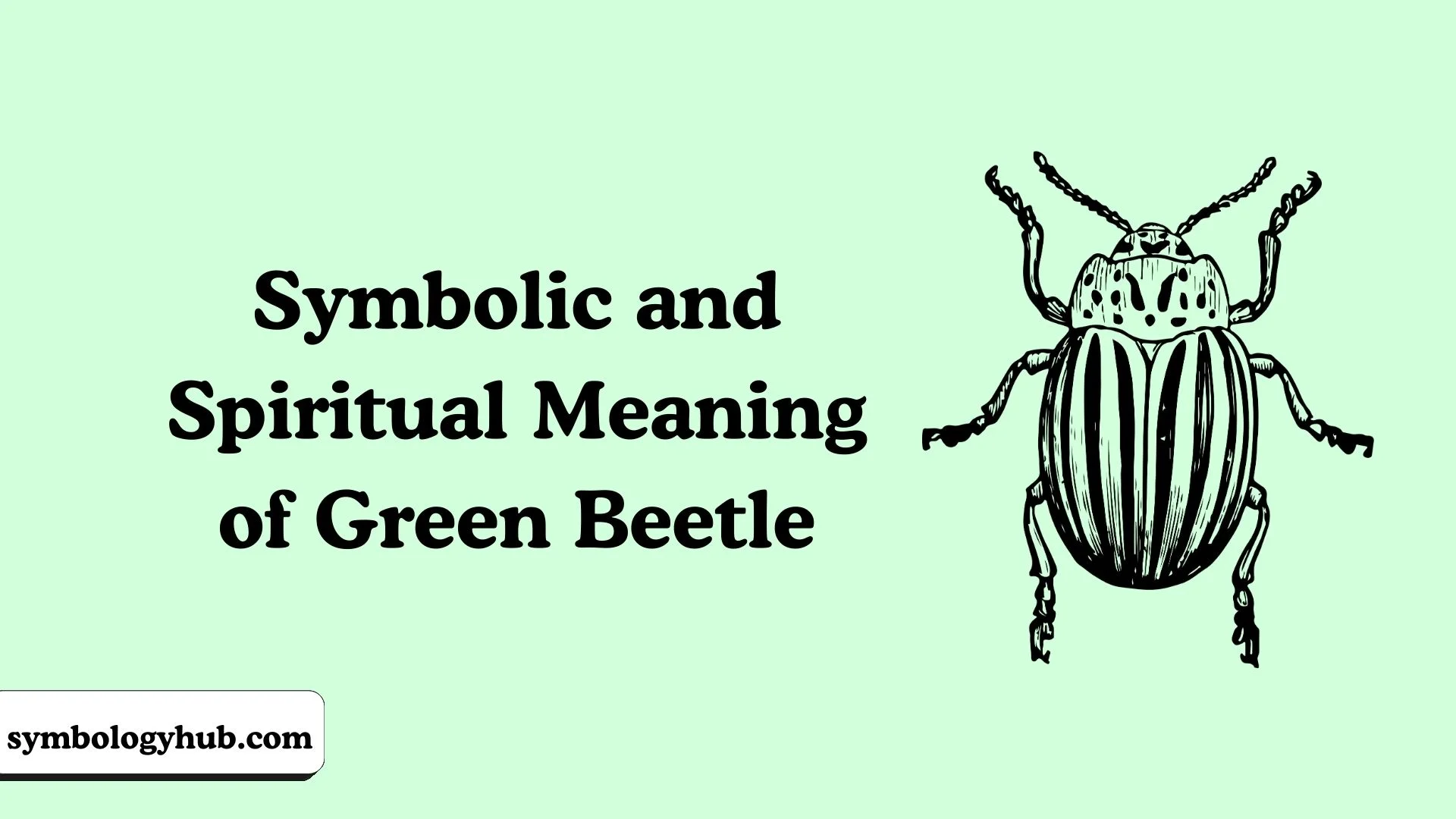 Symbolic and Spiritual Meaning of Green Beetle