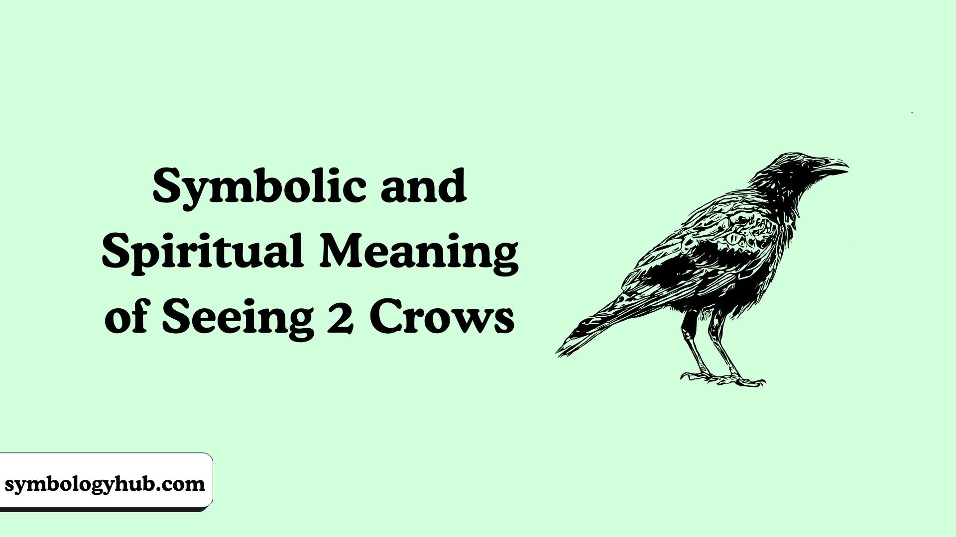 Symbolic and Spiritual Meaning of Seeing 2 Crows