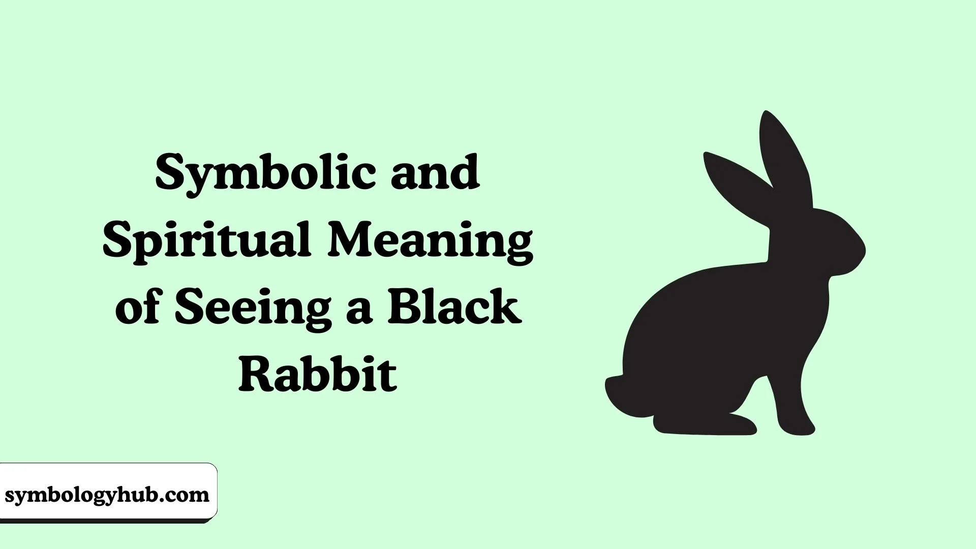 Symbolic and Spiritual Meaning of Seeing a Black Rabbit