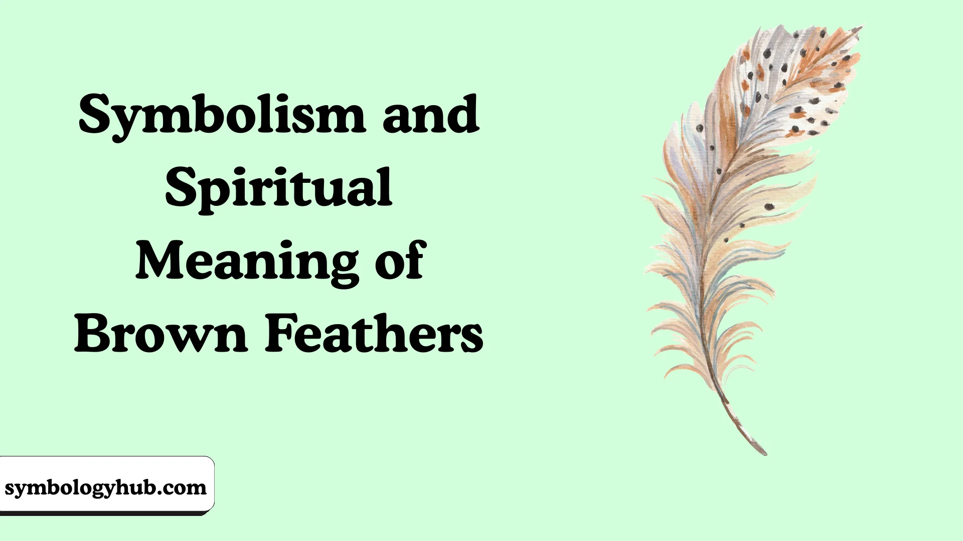 Symbolism and Spiritual Meaning of Brown Feathers