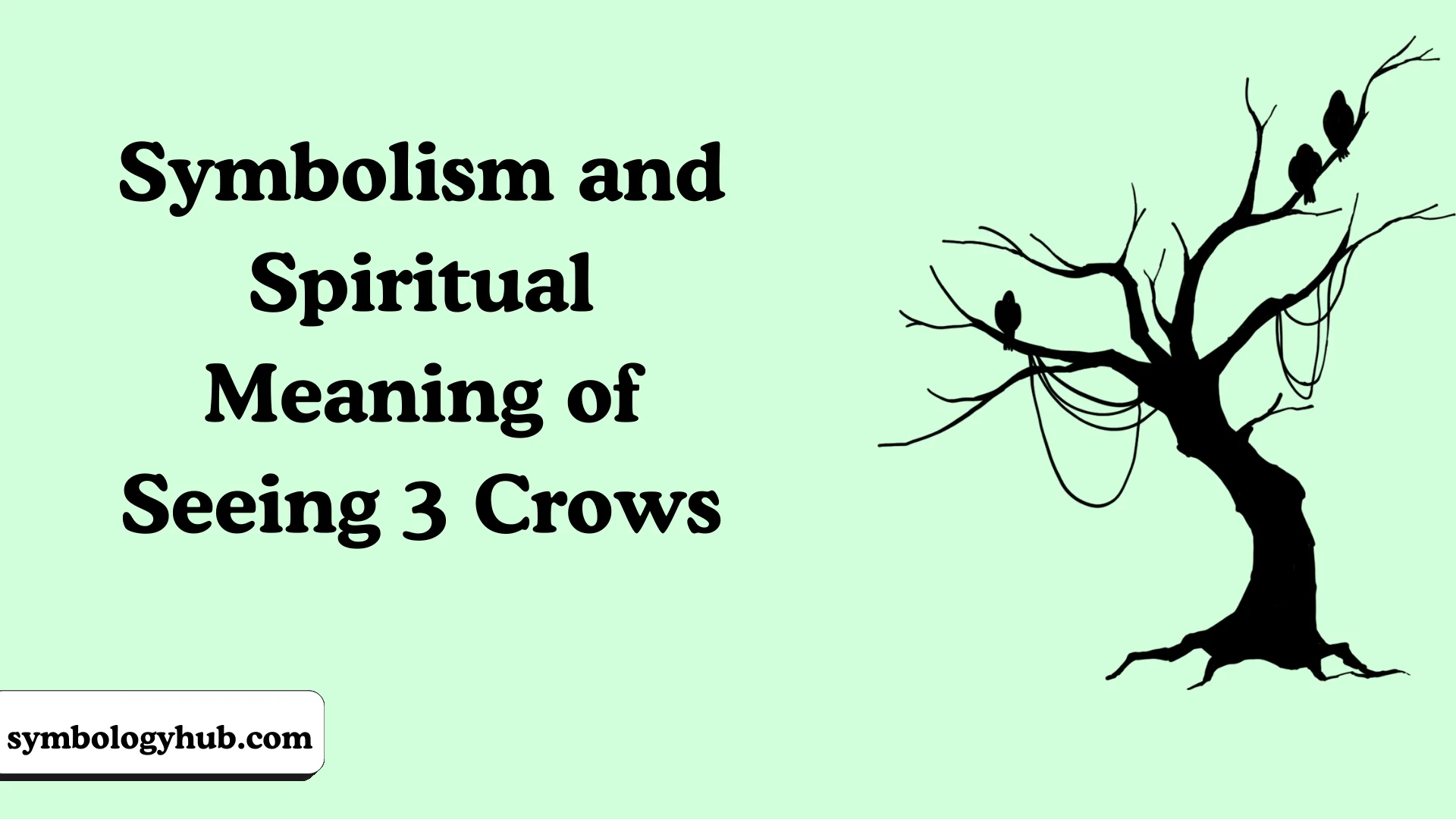 Symbolism and Spiritual Meaning of Seeing 3 Crows