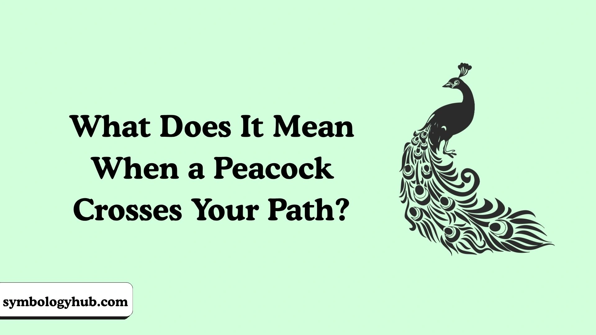 What Does It Mean When a Peacock Crosses Your Path?