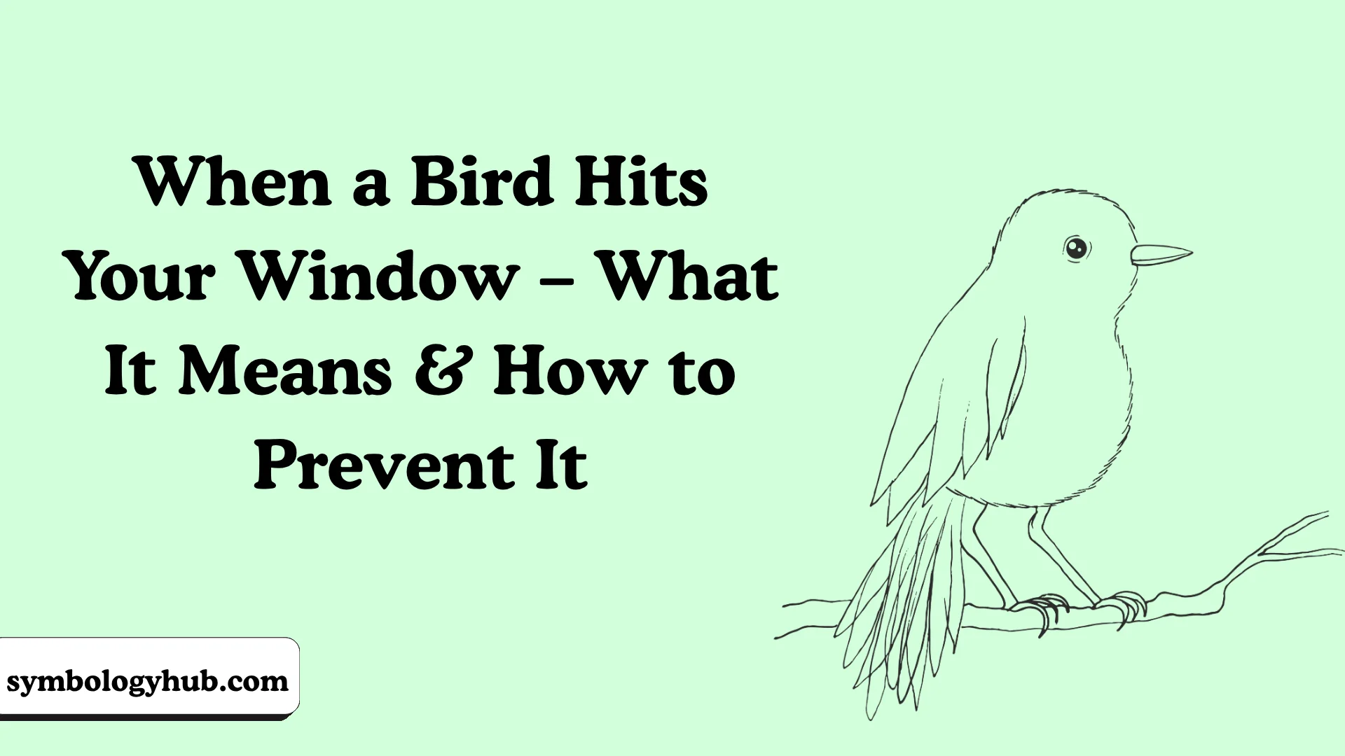 When a Bird Hits Your Window – What It Means & How to Prevent It