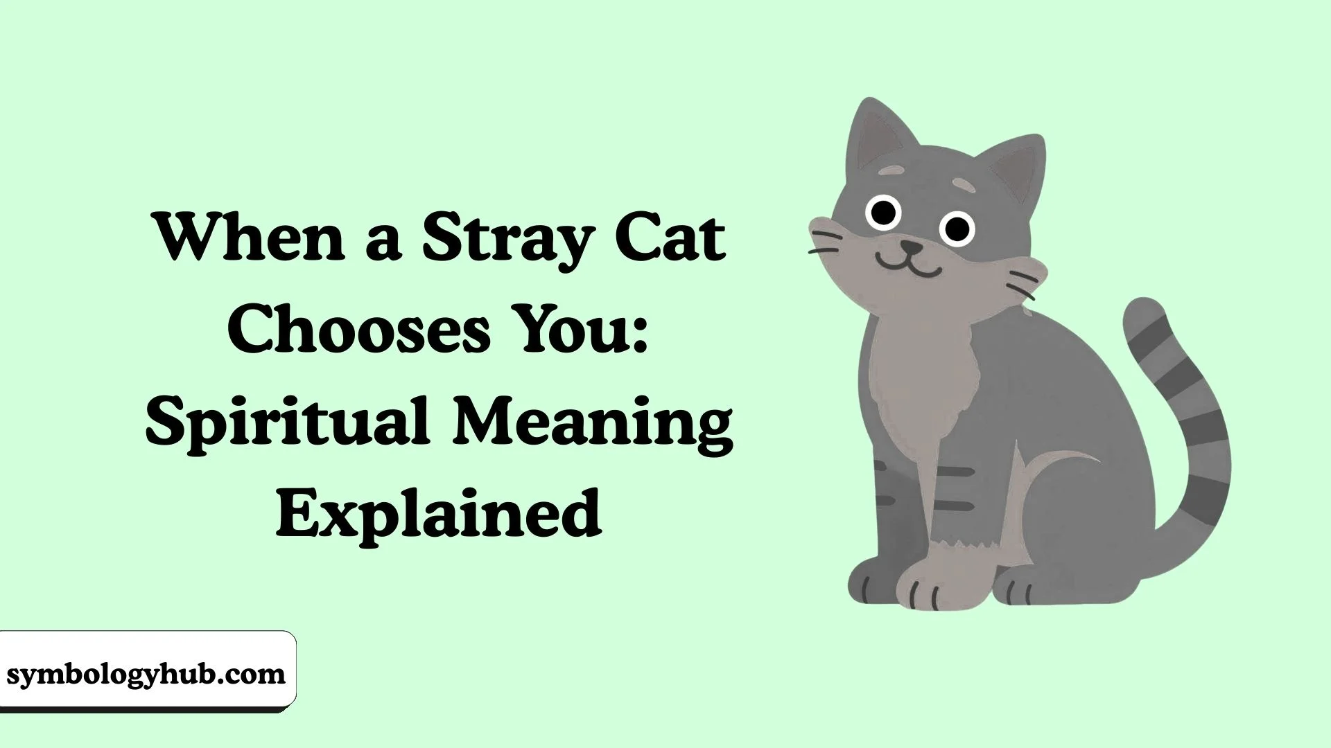 When a Stray Cat Chooses You