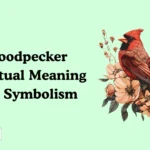 Woodpecker Spiritual Meaning