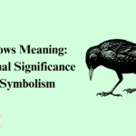 5 Crows Meaning