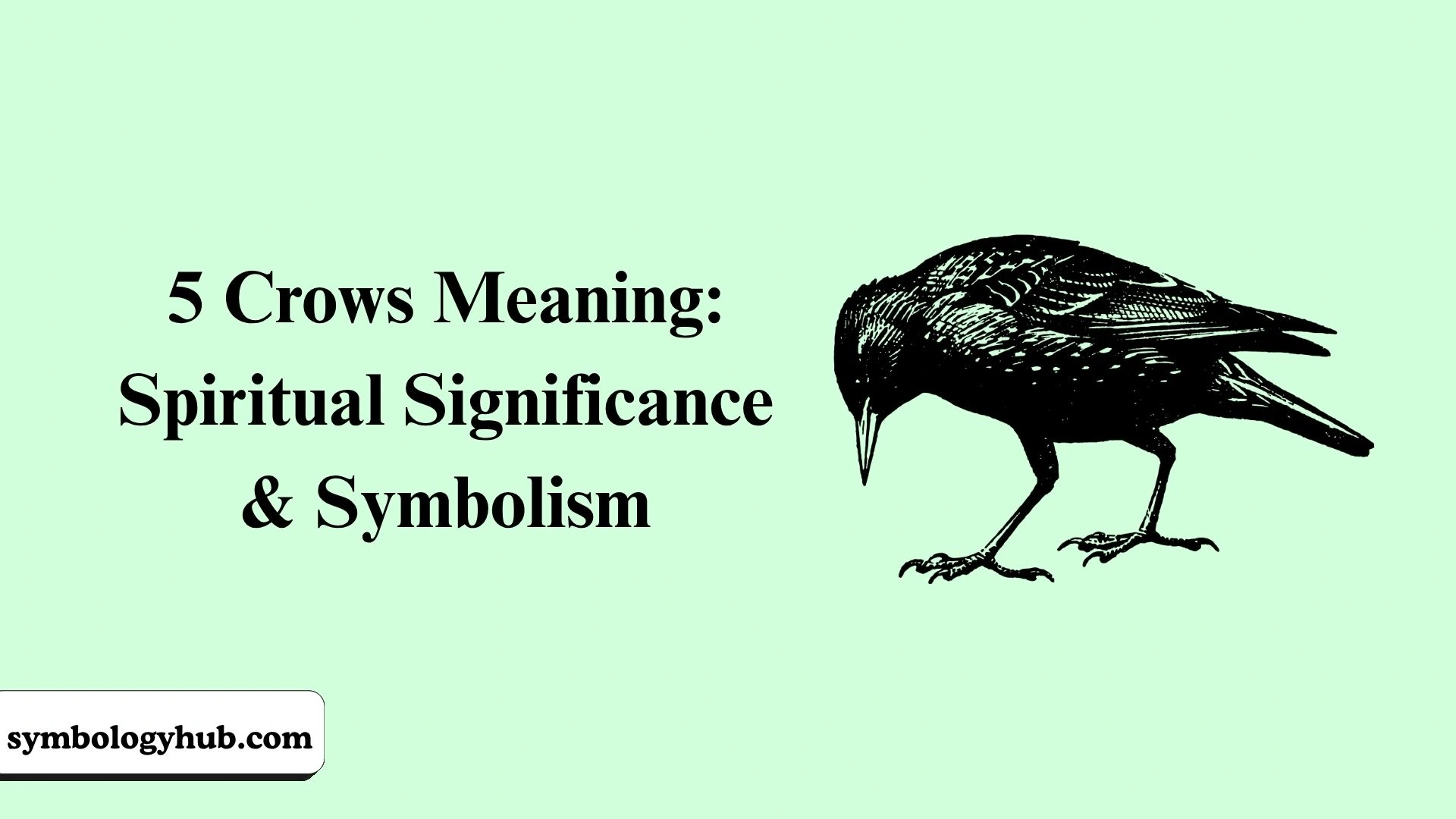 5 Crows Meaning