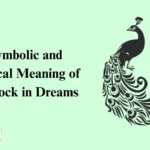 Biblical Meaning of Peacock in Dreams