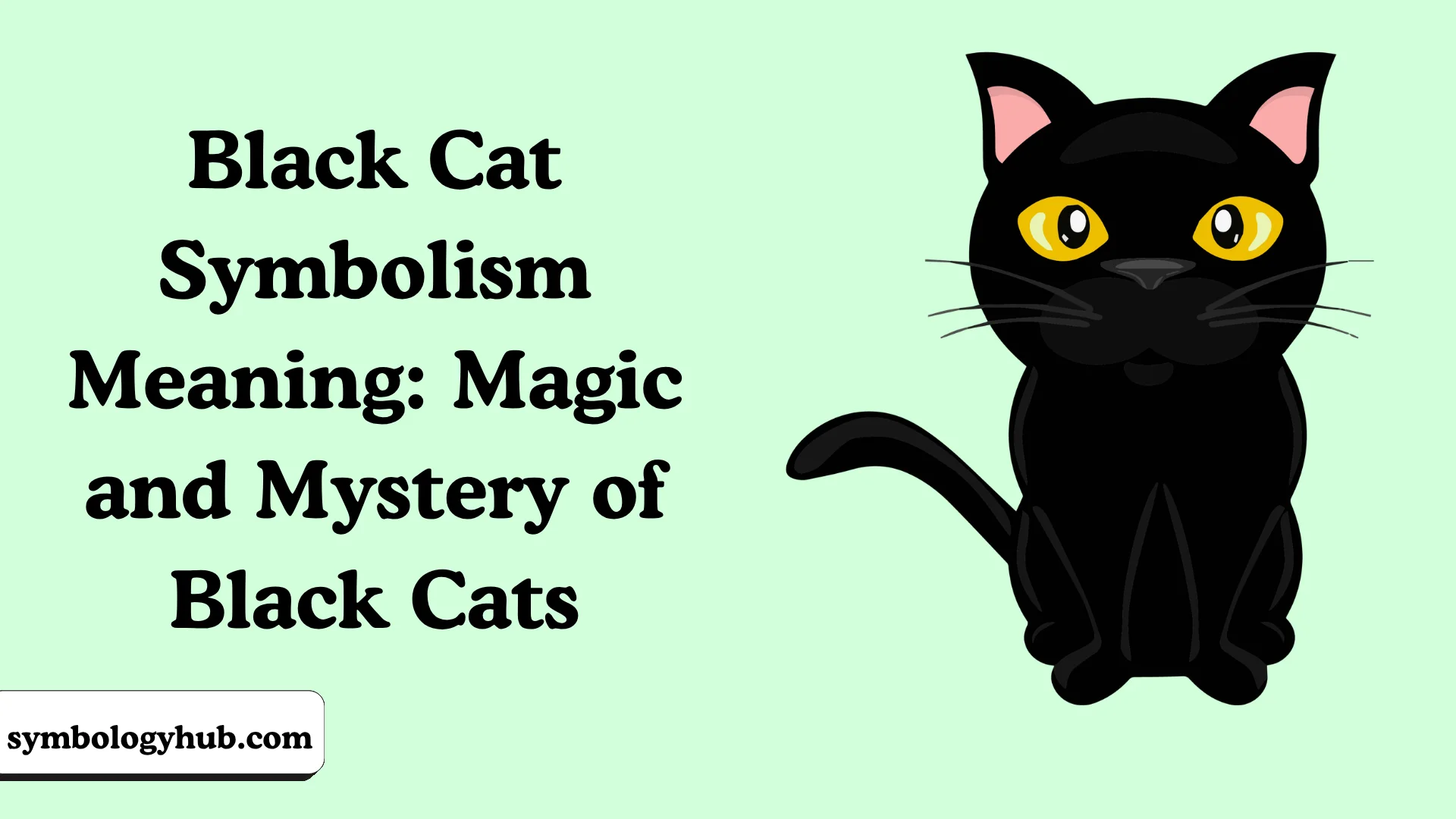 Black Cat Symbolism Meaning: Magic and Mystery of Black Cats